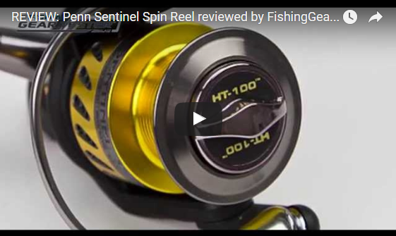 Fisho's Scott Thomas filming Bushy talking about Squidgy's new prawn lures.